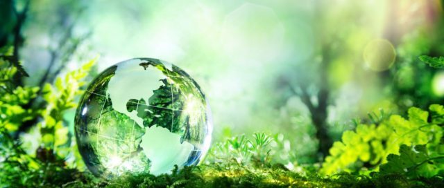 shutterstock 274566236 reduced 640x400 1